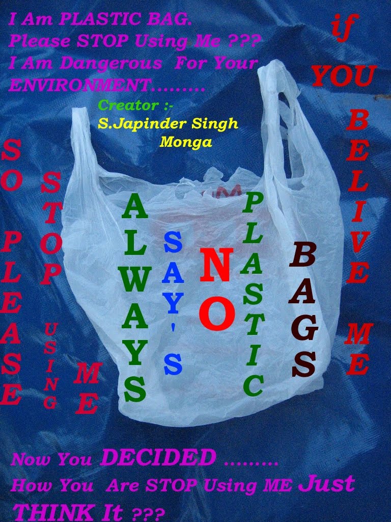 Avoid plastic bags essay